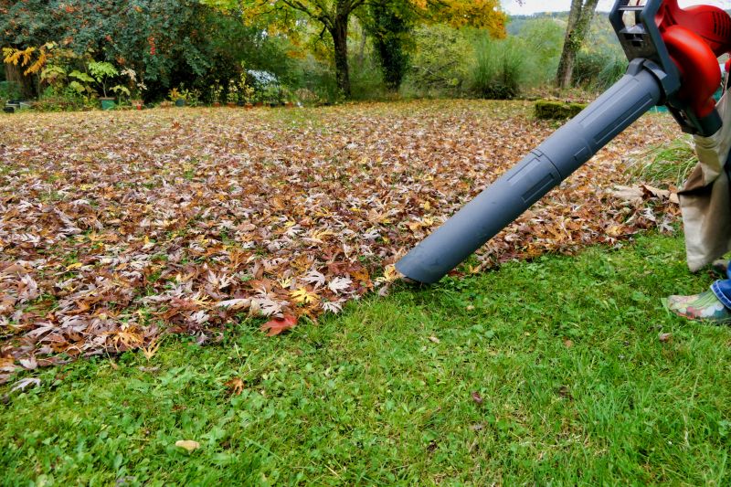 Efficient Leaf Clearing