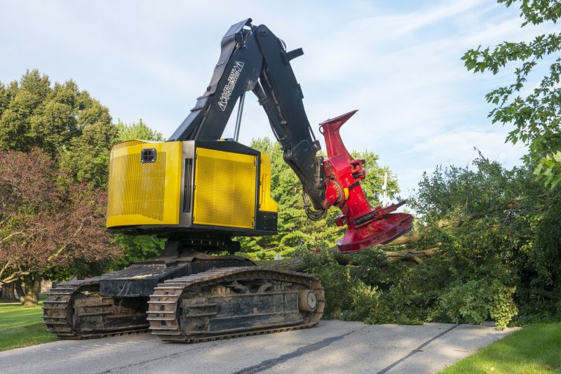 Olive Tree Removal Equipment