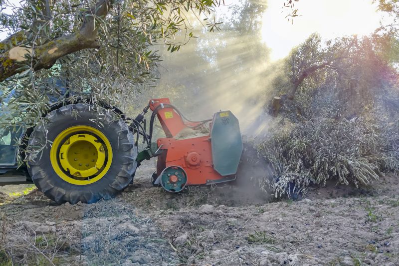 Products For Olive Tree Removals in use